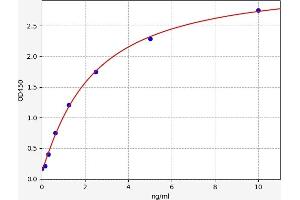 SLC16A1 ELISA Kit