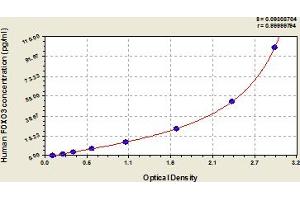 Forkhead Box O3 (FOXO3) ELISA Kit
