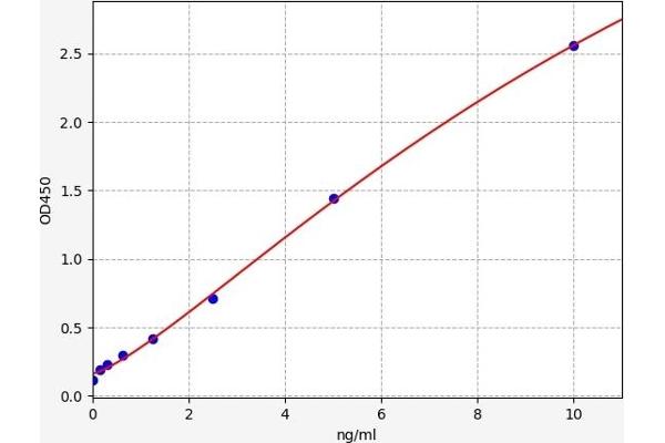 LEPRE1 ELISA Kit