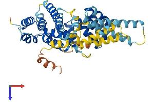 IFIT3 Protein (AA 1-403) (His tag)