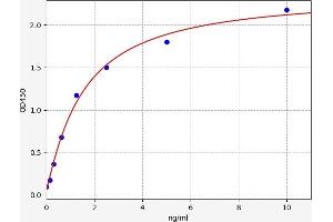 Typical standard curve (FADS3 ELISA Kit)