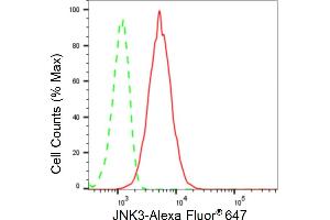 Flow cytometric analysis of JNK3 expression in HT- cells using JNK3 antibody (ABIN7799443), 1:2,000). (Rekombinanter MAPK10 Antikörper)