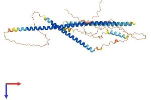 CCDC78 Protein (AA 1-438) (His tag)