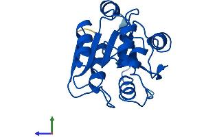 AlphaFold protein structure predicition of Mouse Recombinant Rbbp9 Protein, UniprotID O88851
