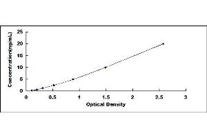 Typical standard curve (Desmocollin 2 ELISA Kit)