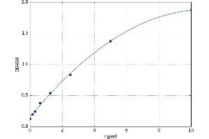 Keratin 18 (KRT18) ELISA Kit