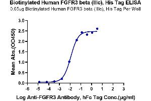 Immobilized Biotinylated Human FGFR3 beta (IIIc) at 0.