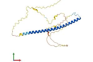 Protein Structure (PS) image for TCF3 (E2A) Fusion Partner (In Childhood Leukemia) (TFPT) (AA 1-253) protein (His tag) (ABIN7544435)