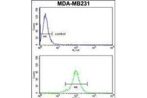Flow cytometry analysis of MDA-MB231 cells (bottom histogram) compared to a negative control cell (top histogram). (RPGRIP1 Antikörper  (AA 530-557))