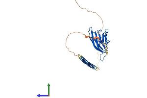 Protein Structure (PS) image for Tumor Necrosis Factor (Ligand) Superfamily, Member 13b (TNFSF13B) (AA 1-285) protein (His tag) (ABIN7555822)