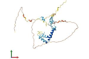 AlphaFold protein structure predicition of Human Recombinant SPRY2 Protein, UniprotID O43597