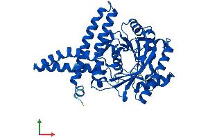 Protein Structure (PS) image for 1-Acylglycerol-3-Phosphate O-Acyltransferase 3 (AGPAT3) (AA 1-376) protein (His tag) (ABIN7554946)