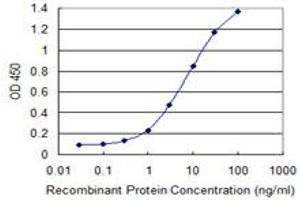 Detection limit for recombinant GST tagged HSFY1 is 0. (HSFY1 Antikörper  (AA 1-99))