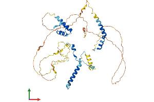 Protein Structure (PS) image for Nucleolar and Spindle Associated Protein 1 (NUSAP1) (AA 1-441) protein (His tag) (ABIN7550002)