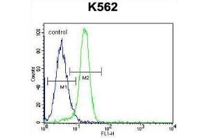 Flow Cytometry (FACS) image for anti-Nemo-Like Kinase (NLK) (Thr286) antibody (ABIN3003279) (Nemo-Like Kinase Antikörper  (Thr286))
