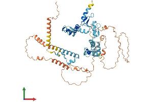 Protein Structure (PS) image for Zinc Finger Protein 891 (ZNF891) (AA 1-544) protein (His tag) (ABIN7545409)