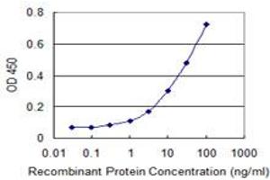 Detection limit for recombinant GST tagged NISCH is 0. (Nischarin Antikörper  (AA 1246-1345))