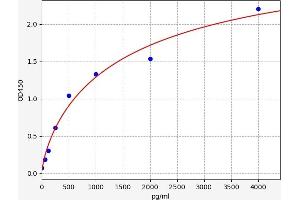 XCL1 ELISA Kit