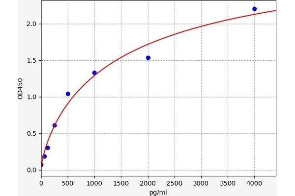 XCL1 ELISA Kit