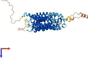 AlphaFold protein structure predicition of Mouse Recombinant Mfsd8 Protein, UniprotID Q8BH31 (MFSD8 Protein (AA 1-519) (His tag))