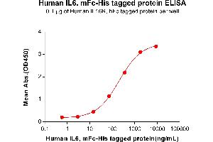 ELISA plate pre-coated by 1 μg/mL (100 μL/well) Human IL6R, hFc tagged protein  can bind Human IL6, mFc-His tagged protein (ABIN6961105) in a linear range of 14.