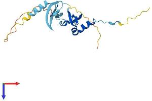 CBX1 Protein (AA 1-185) (His tag)