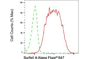 Flow cytometric analysis of Surfeit 4 expression in HT- cells using Surfeit 4 antibody (ABIN7800469), 1:2,000). (Rekombinanter Surfeit 4 Antikörper)