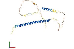Protein Structure (PS) image for Akirin 2 (AKIRIN2) (AA 1-201) protein (His tag) (ABIN7562036)