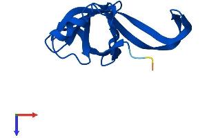 RPL35A Protein (AA 1-110) (His tag)