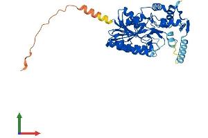 Protein Structure (PS) image for NAD(P) Dependent Steroid Dehydrogenase-Like (NSDHL) (AA 1-373) protein (His tag) (ABIN7549823)