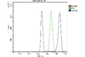 Flow Cytometry analysis of U937 cells using anti-SRP54 antibody (ABIN7600501). (SRP54 Antikörper  (AA 2-433))