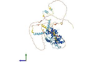 Protein Structure (PS) image for BRF1, RNA polymerase III transcription initiation factor subunit (BRF1) (AA 1-677) protein (His tag) (ABIN7544432)