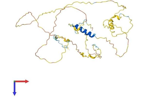 RAD51AP1 Protein (AA 1-352) (His tag)