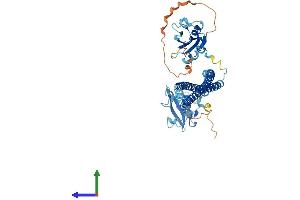 Protein Structure (PS) image for Phosphatidylinositol 3-kinase regulatory subunit gamma (PIK3R3) (AA 1-461) protein (His tag) (ABIN7557813)