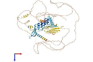 MPHOSPH8 Protein (AA 1-860) (His tag)