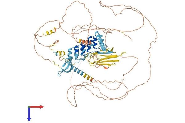 MPHOSPH8 Protein (AA 1-860) (His tag)