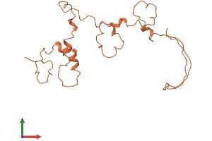 AlphaFold protein structure predicition of Human Recombinant KRTAP4-8 Protein, UniprotID Q9BYQ9