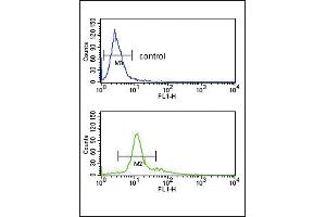 Flow cytometry analysis of K562 cells (bottom histogram) compared to a negative control cell (top histogram). (PCSK2 Antikörper  (AA 318-346))