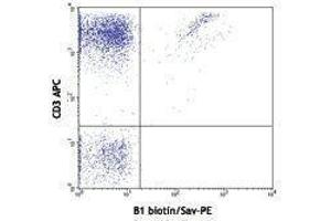 Flow Cytometry (FACS) image for anti-T-Cell Receptor gamma/delta (TCR gamma/delta) antibody (Biotin) (ABIN2661293) (TCR gamma/delta Antikörper  (Biotin))