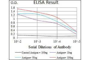 ELISA image for anti-Purinergic Receptor P2Y, G-Protein Coupled, 13 (P2RY13) (AA 1-49) antibody (ABIN1845370)