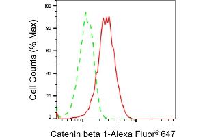Flow cytometric analysis of Catenin beta 1 expression in HAP-1 cells using Catenin beta 1 antibody (ABIN7797929), 1:2,000).