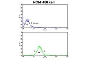 Flow Cytometry (FACS) image for anti-Cadherin 10, Type 2 (T2-Cadherin) (CDH10) antibody (ABIN2998269) (CDH10 Antikörper)