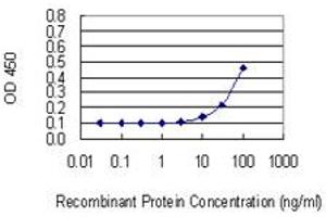 Detection limit for recombinant GST tagged HPN is 3 ng/ml as a capture antibody. (Hepsin Antikörper  (AA 40-417))