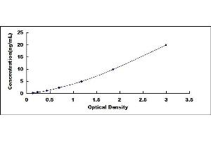 Typical standard curve (SDHC ELISA Kit)