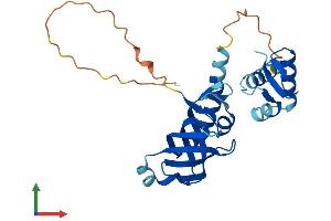 Protein Structure (PS) image for Replication Protein A4, 30kDa (RPA4) (AA 1-261) protein (His tag) (ABIN7551325)