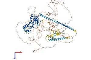 AlphaFold protein structure predicition of Mouse Recombinant Akap17b Protein, UniprotID A2A3V1