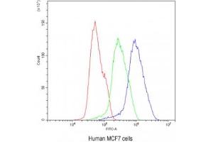 Flow cytometry testing of human MCF7 cells with BIK antibody at 1ug/10^6 cells (blocked with goat sera)