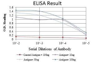 Red: Control Antigen (100 ng), Purple: Antigen (10 ng), Green: Antigen (50 ng), Blue: Antigen (100 ng), (Cytokeratin 19 Antikörper)