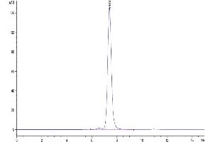 Size-exclusion chromatography-High Pressure Liquid Chromatography (SEC-HPLC) image for Neuropilin 2 (NRP2) (AA 23-859) protein (His tag) (ABIN7275371)