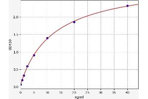 Glucokinase (Hexokinase 4) (GCK) ELISA Kit
